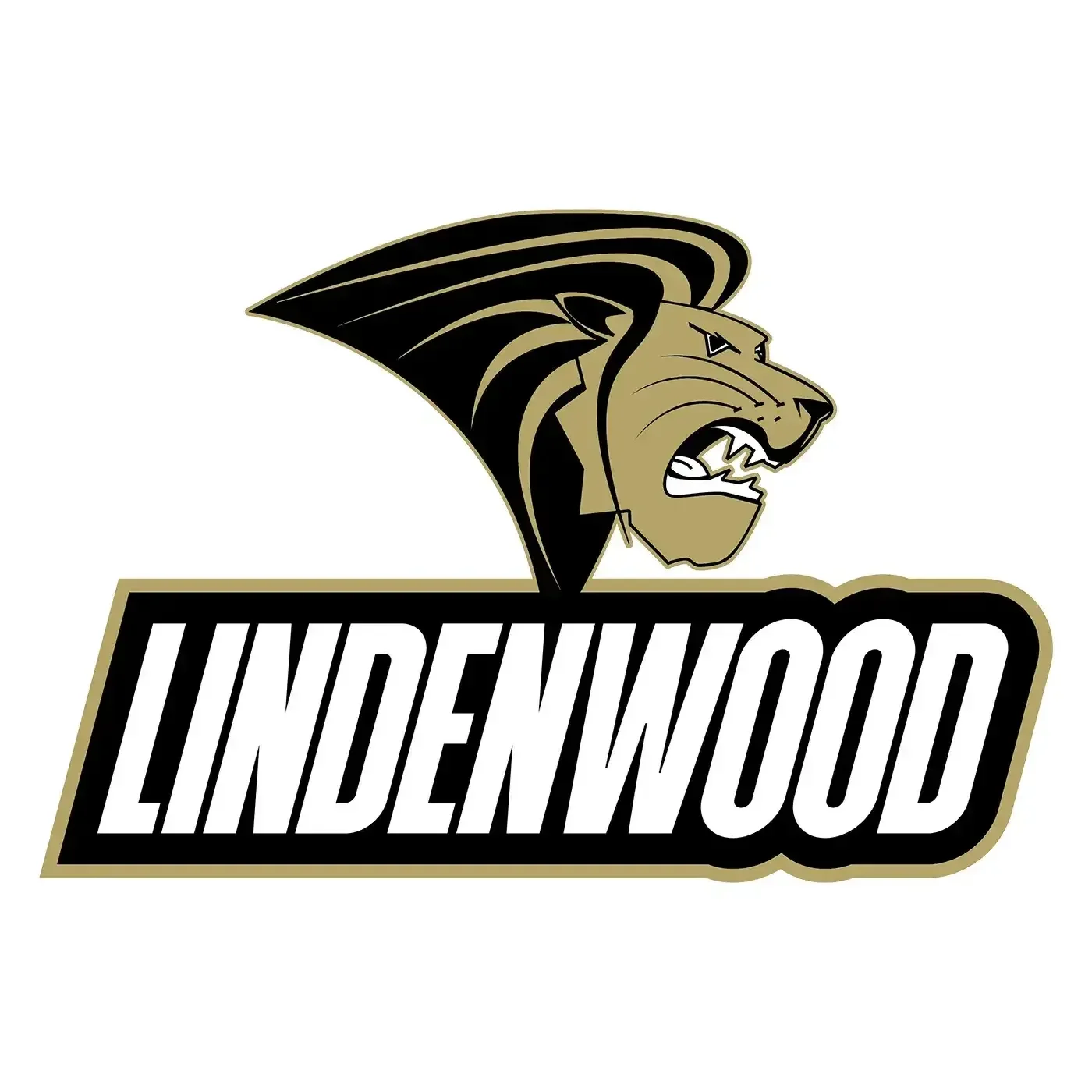Lindenwood University TV