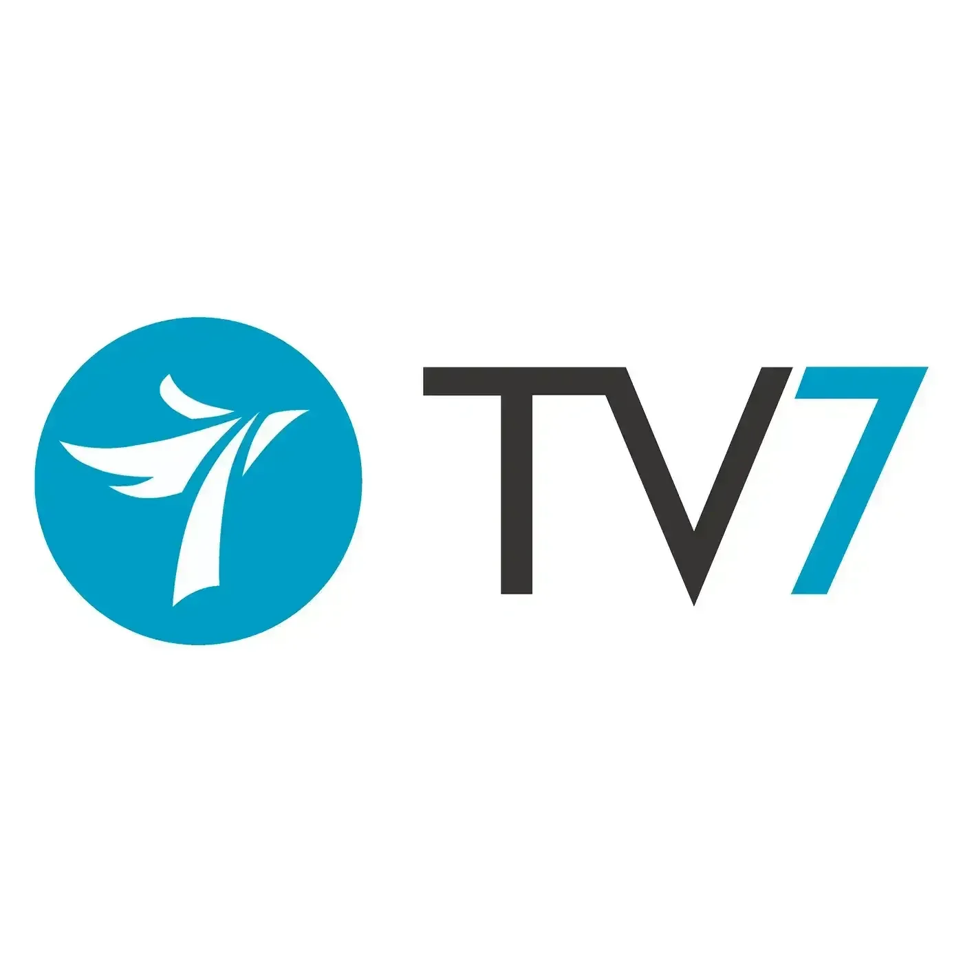 TV7 Netti-TV