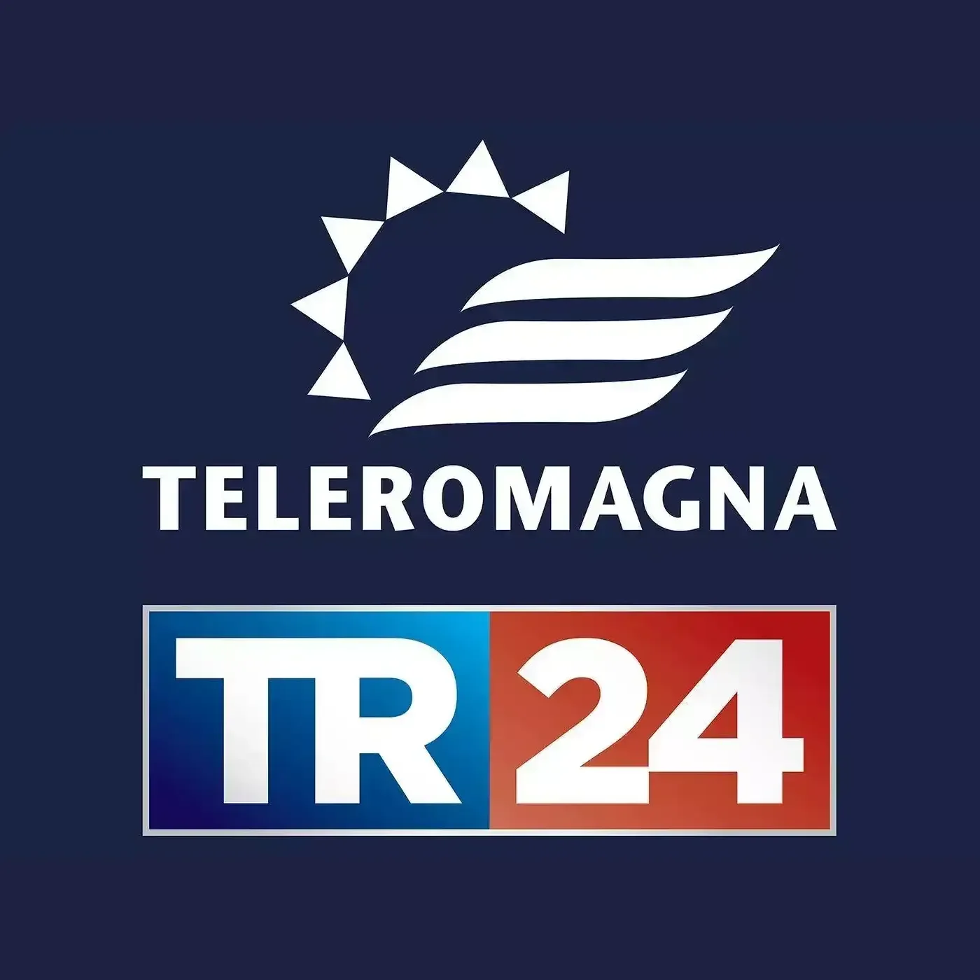 Teleromagna News