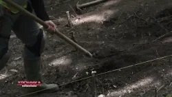 Hronika regiona: Budžet opštine Lapovo za ovu godinu 420 miliona dinara