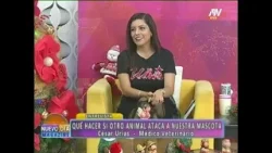 QUE HACER SI OTRO ANIMAL NO AMARRA A SU MASCOTA Y ATACA A LA TUYA