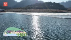 영화 같은 여행지, 영월로! / 강원매거진7 / [떠나고 싶은 금요일] / G1방송 / 260206