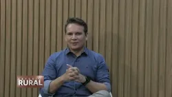 Preços recuam, mas suinocultura de MT mantém otimismo com 2026 | Estúdio Rural