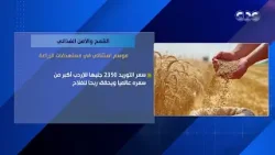 القمح والأمن الغذائي.. موسم استثنائي في مستهدفات الزراعة