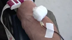 U Tutinu održana prva akcija dobrovoljnog davanja krvi, prikupljeno 72 jedince