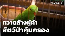 กวาดล้างผู้ค้าสัตว์ป่าคุ้มครองออนไลน์ | จับตาสถานการณ์ | 11 ก.พ. 69