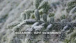 Egzamen - ispit svjesnosti (7)