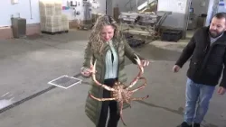 INFORMATIVOS 06 02 2026 VIERNES