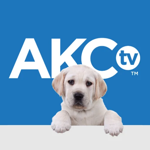 AKC TV